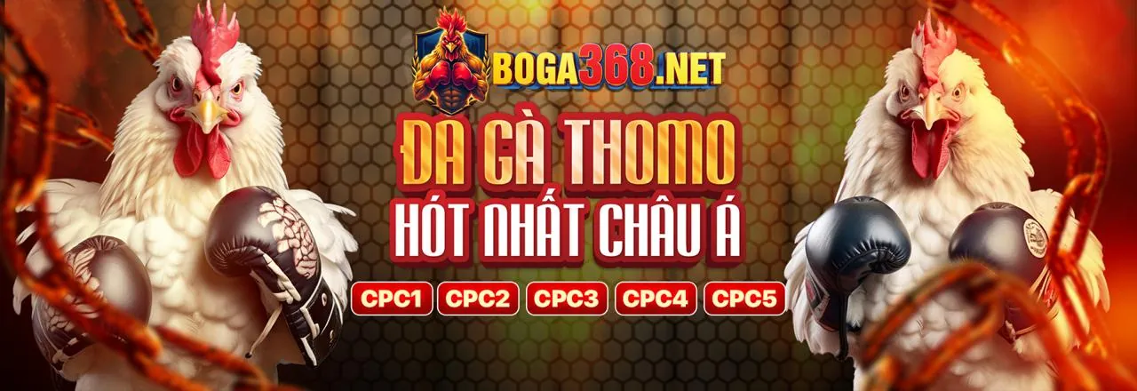 Banner khuyến mãi đá gà 88â login